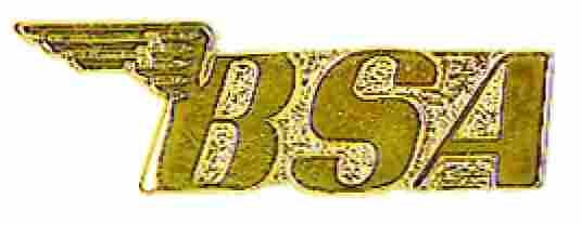 AS BSA Logo gold*